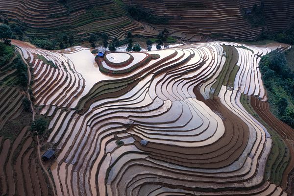 Рисовые террасы Mu Cang Chai